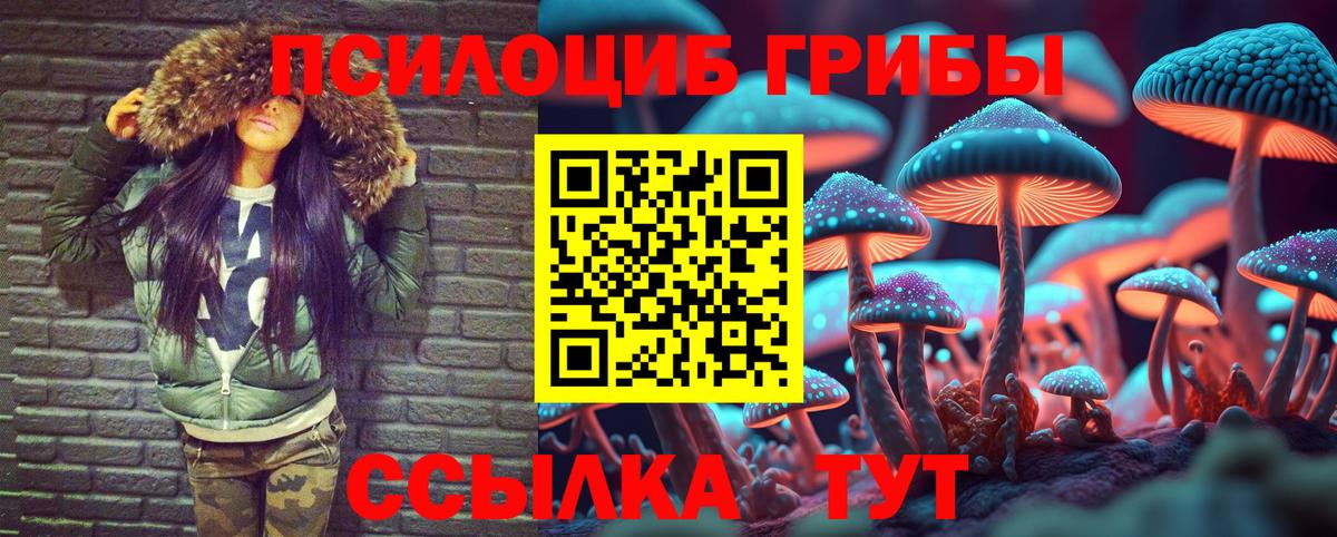 Псилоцибиновые грибы мицелий Комсомольск-на-Амуре