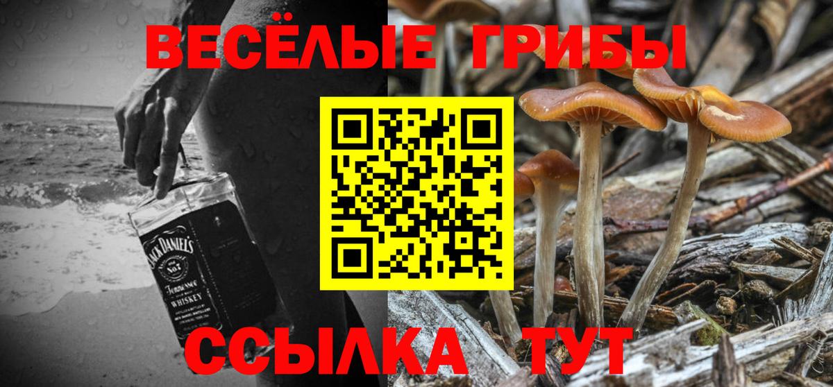 Галлюциногенные грибы MAGIC MUSHROOMS  Вход с VPN  Комсомольск-на-Амуре 